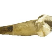 Omc 1960.719.009  (1) Edited